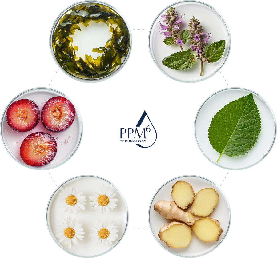 Hydrinity Restorative HA Serum