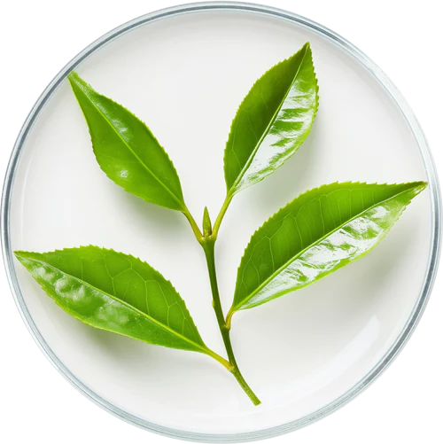 Hydrinity HYDRI-C Daily Vitamin C Moisturizer