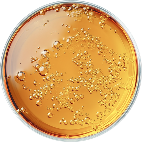 Hydrinity PRELUDE Facial Treatment Cleanser